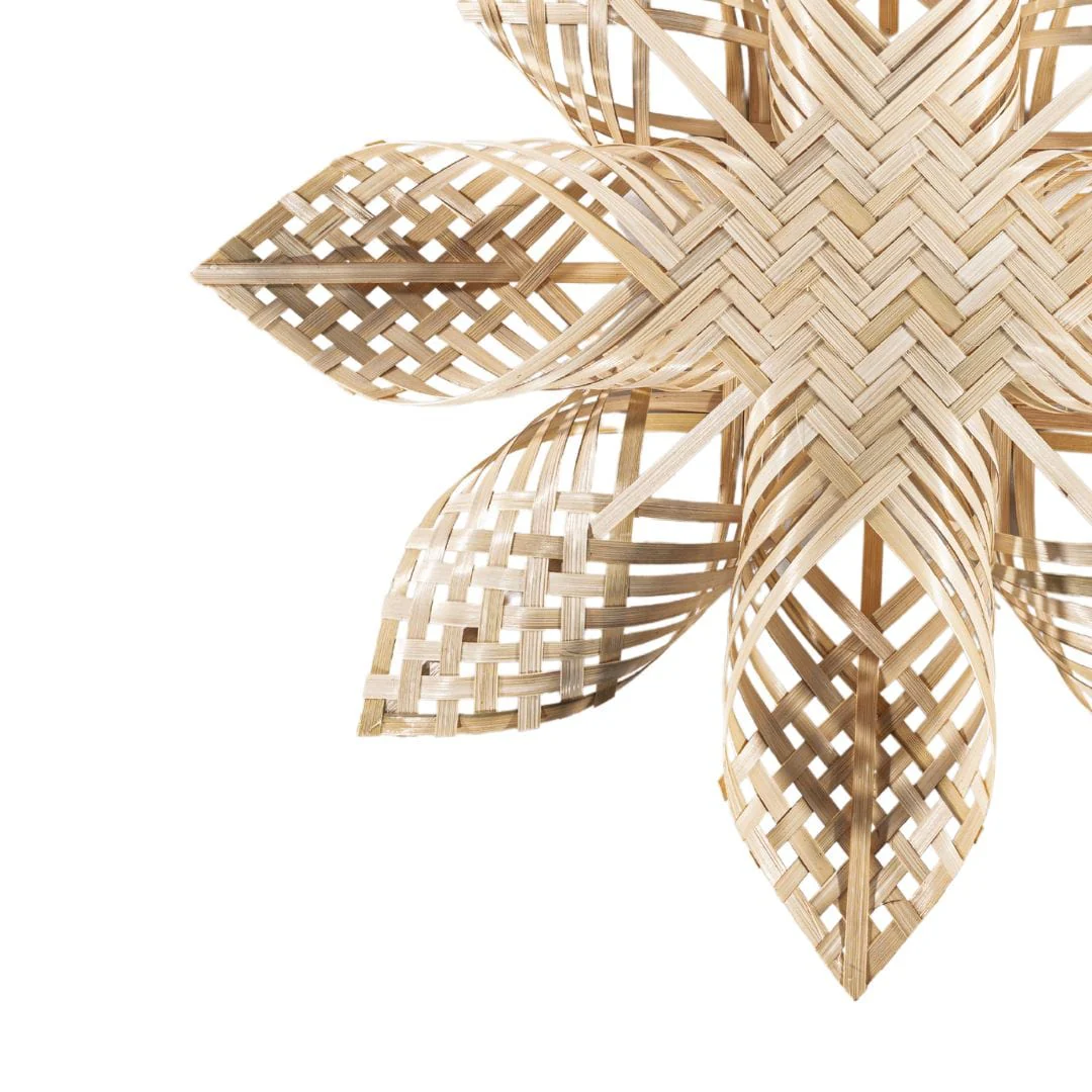 Bamboo Star - Image 3